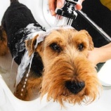 『ガイダンス（253）2025年11月』の画像