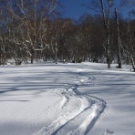 山の旅社 ガイドの日記 豊橋木戸