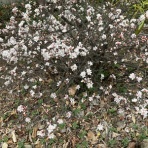 晴れたらお出かけ