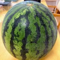 大きなスイカ🍉