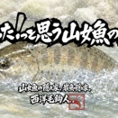【フライフィッシング】勝った！っと思う山女魚の出方
