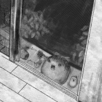 ゆっくりプレイス