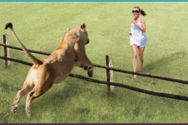 愛らしい動物動画 感動動画