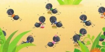 300匹くらい飼ってた蟻を彼女の不注意で壊滅させられた…
