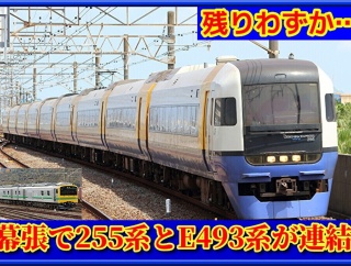 【連結訓練】房総特急255系Be-03編成とE493系が連結