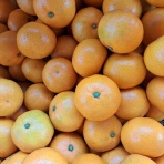 減農薬野菜、果物、お花、こだわりのうつわのお店　- 花うつわ大地（花咲農園） -