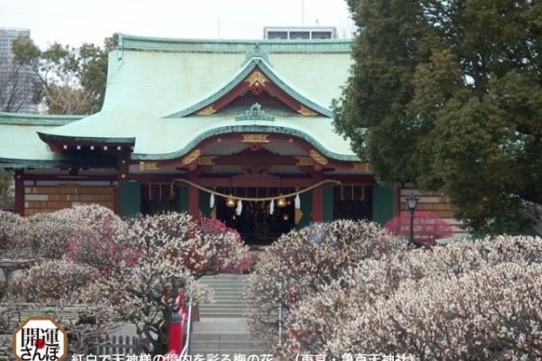 開運さんぽ Lucky Beans 16年02月