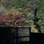 松之山温泉山の森のホテル　ふくずみ