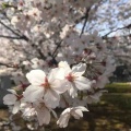 あっという間に4月