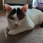 moroのハンドメイド