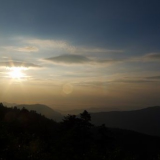 仕事虫の独り言