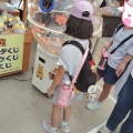 海ユニット夏休外出( ´∀｀ )