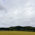 お盆