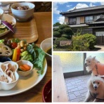 シェビーズのブログ