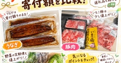 【ふるさと納税】返礼品は値上がりした？うなぎ・豚肉・野菜の寄付額を比較！