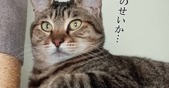 娘の夏休みはまだ始まっていない。と、キラキラリンなしずく作りました。
