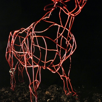 いよいよ明日です！