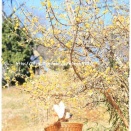 ★自由にウロウロ出来たら♪★