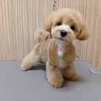 ペットショップワンラブ フレスポ御所野店のスタッフブログ