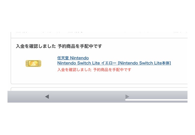 Nintendo Switch Lite 予約開始！ 	