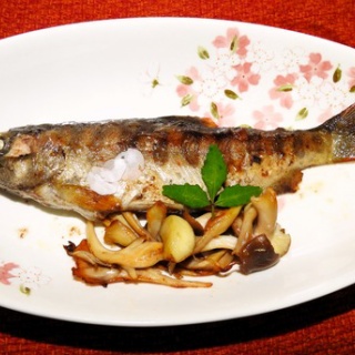 土佐料理　旬の鰹がゆく！