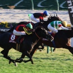 今日の研鑽 by オフィスそのまま