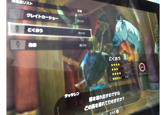 【ゼルダの伝説 ブレスオブザワイルド】良い馬は南（テグリー平原）にいる