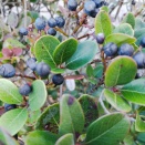 継続は、力なり