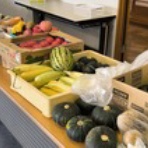 山階照雄の日記帖