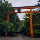 昨日は飲みすぎちゃったのよ。【川越氷川神社】