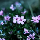 夫から「子供が高校出たら離婚したい」と言われて以降、とりつく島もなくて困ってる。夫「レスの日記を10年近く取ってる」「慰謝料は取らないけど財産分与はきちんとする」