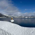 冬の田沢湖❄️