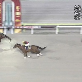 競馬総合まとめ速報