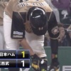 【vs西武】日ハム石川亮、同点タイムリー！