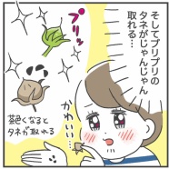 植物って癒し…ですね…