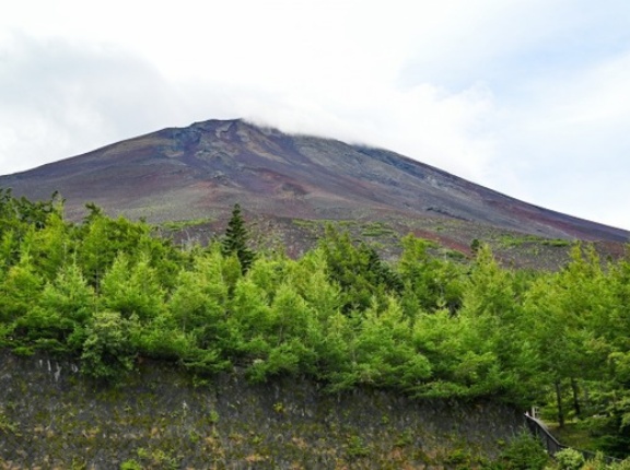 「南海トラフ大地震」vs「富士山大噴火」