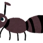 親父の風は強く吹いている。