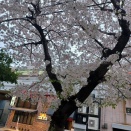 うれしい週末でした(o≧▽゜)o