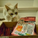 ̿�������򸫾夲�ʤ��麣���Ϥ���ʻ������ä������.....�������ơ��ݥ󥳥Ĥʤ����ĥ�äƤ��(^^)/���ߤ�����.....