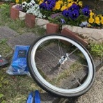 "見タイ”食べタイ”遊びタイ”