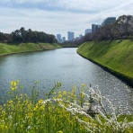 かなちゅうごはん