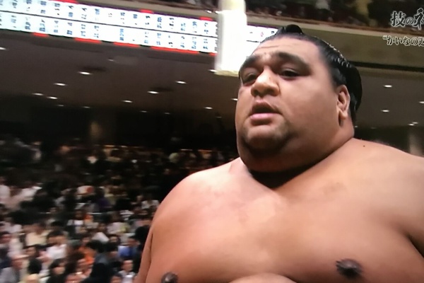 すもにゅ 稀勢の里