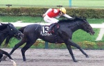 【競馬予想】[2]第40回根岸ステークス(GⅢ) /2026