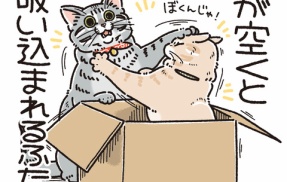 喜ぶと思ったのに