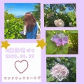 やっっっと梅雨明け♡