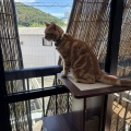 ゼンタちゃん、ひさしぶり