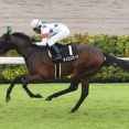 【菊花賞】マイユニバース九十九里特別ラスト10.9-11.2