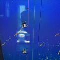 260517のブリジギング