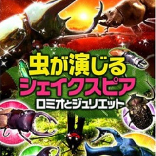 オオカブトの部屋