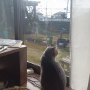 あれ？金利上昇なのに円安加速？？